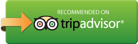 TripAdvisor